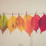 Najkrajšie jesenné dekorácie – 5 tipov pre krajšiu domácnosť a bývanie